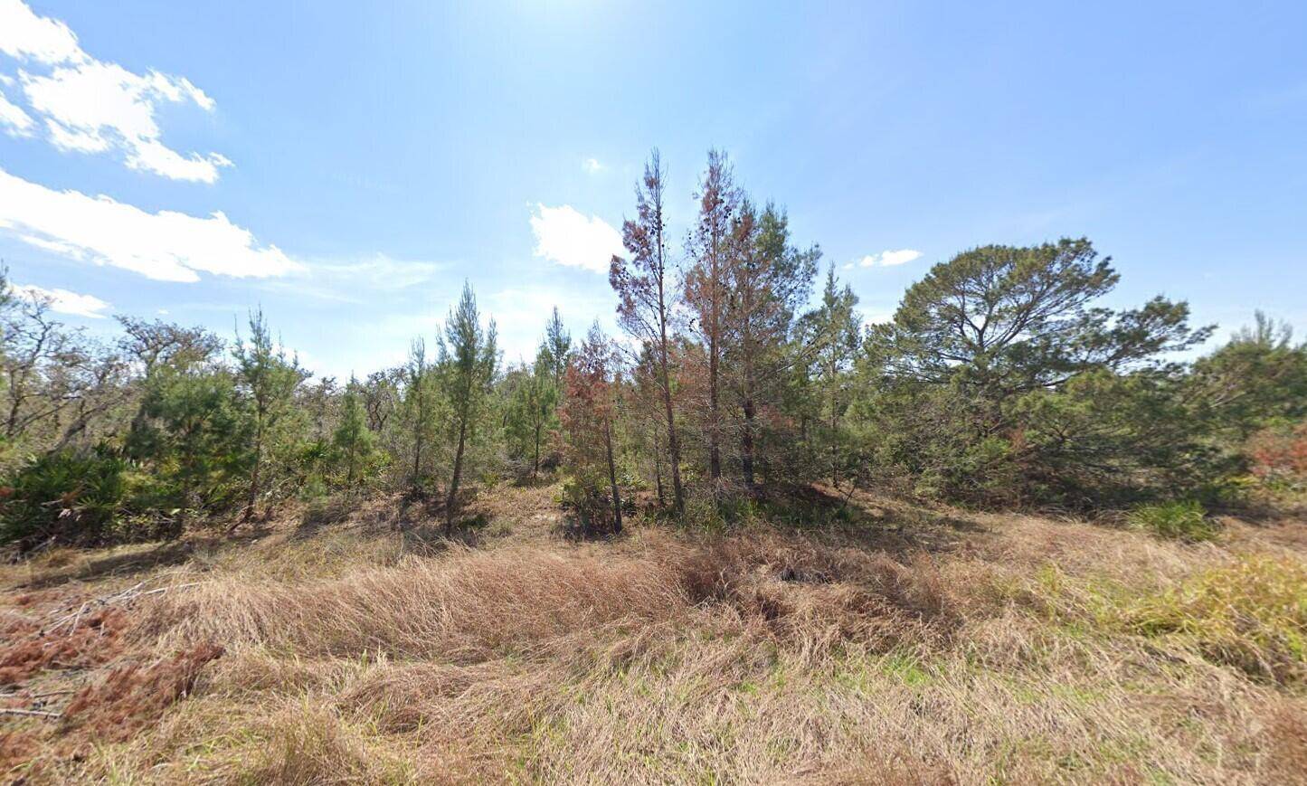 This vacant lot is located in sunny Avon Park Florida.