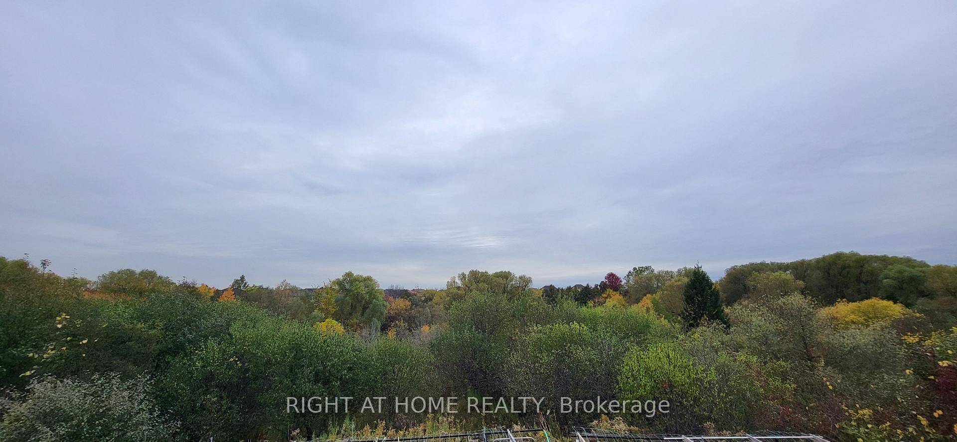 Welcome to 44 Moldovan Drive Rare professionally finished walk out basement !