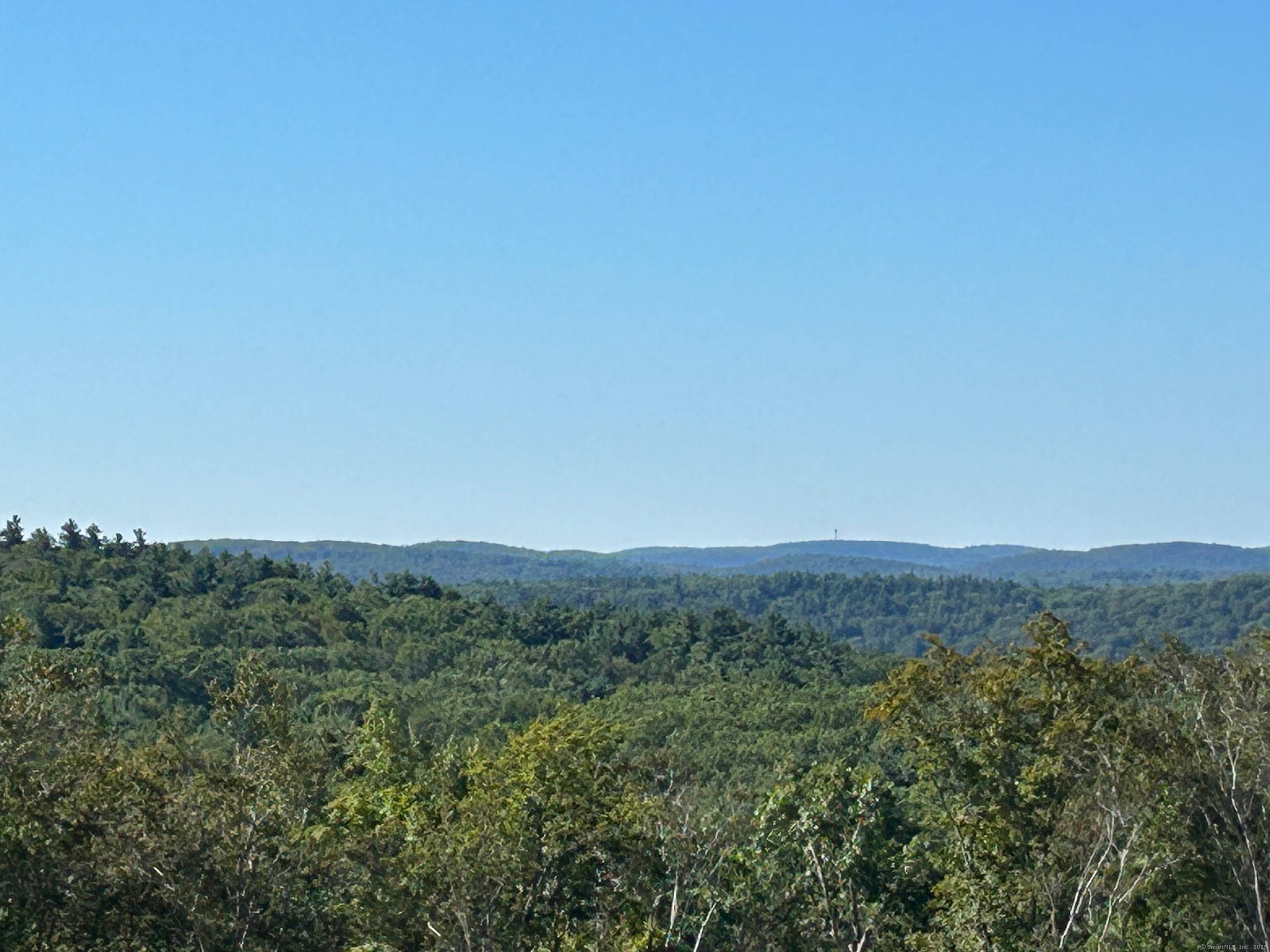 Rare opportunity to own 102 acres with breathtaking distant views and an abundance of possibilities.