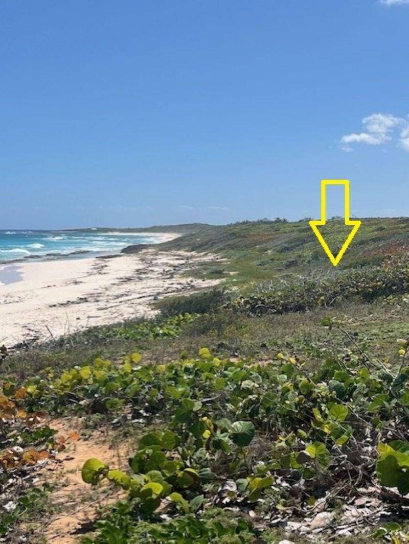 SOUTHWIND Land Long-Island-Bahamas