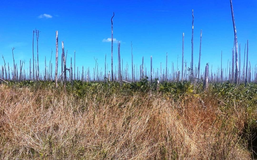 LOT 17 LUCAYA ESTATES Land Grand-Bahama-Freeport