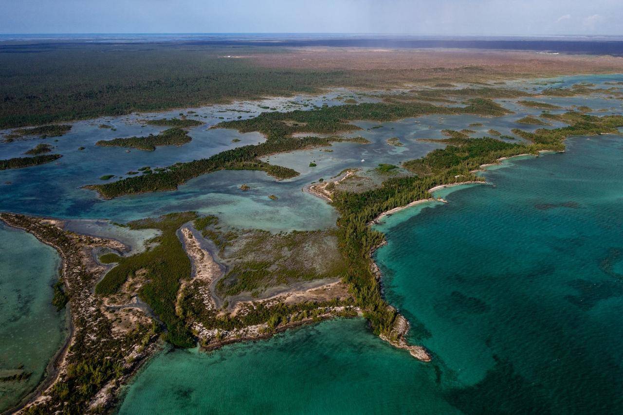 ARMSTRONG AND POND APPLE Private Island Abaco