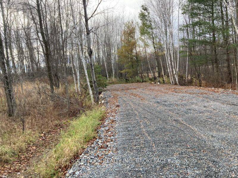Welcome to 106 Perth Street in the charming town of Elgin, nestled in the heart of Rideau Lakes.
