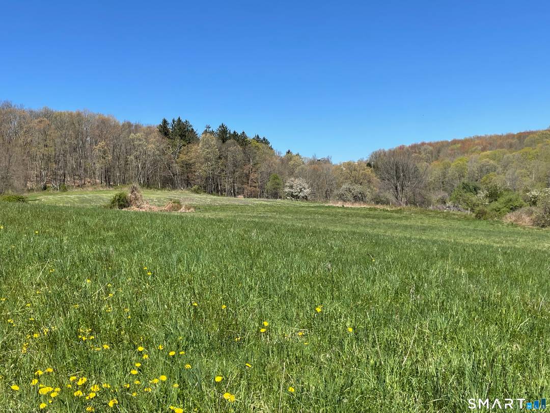 If You are looking for land with views to build your dream home, this is it.