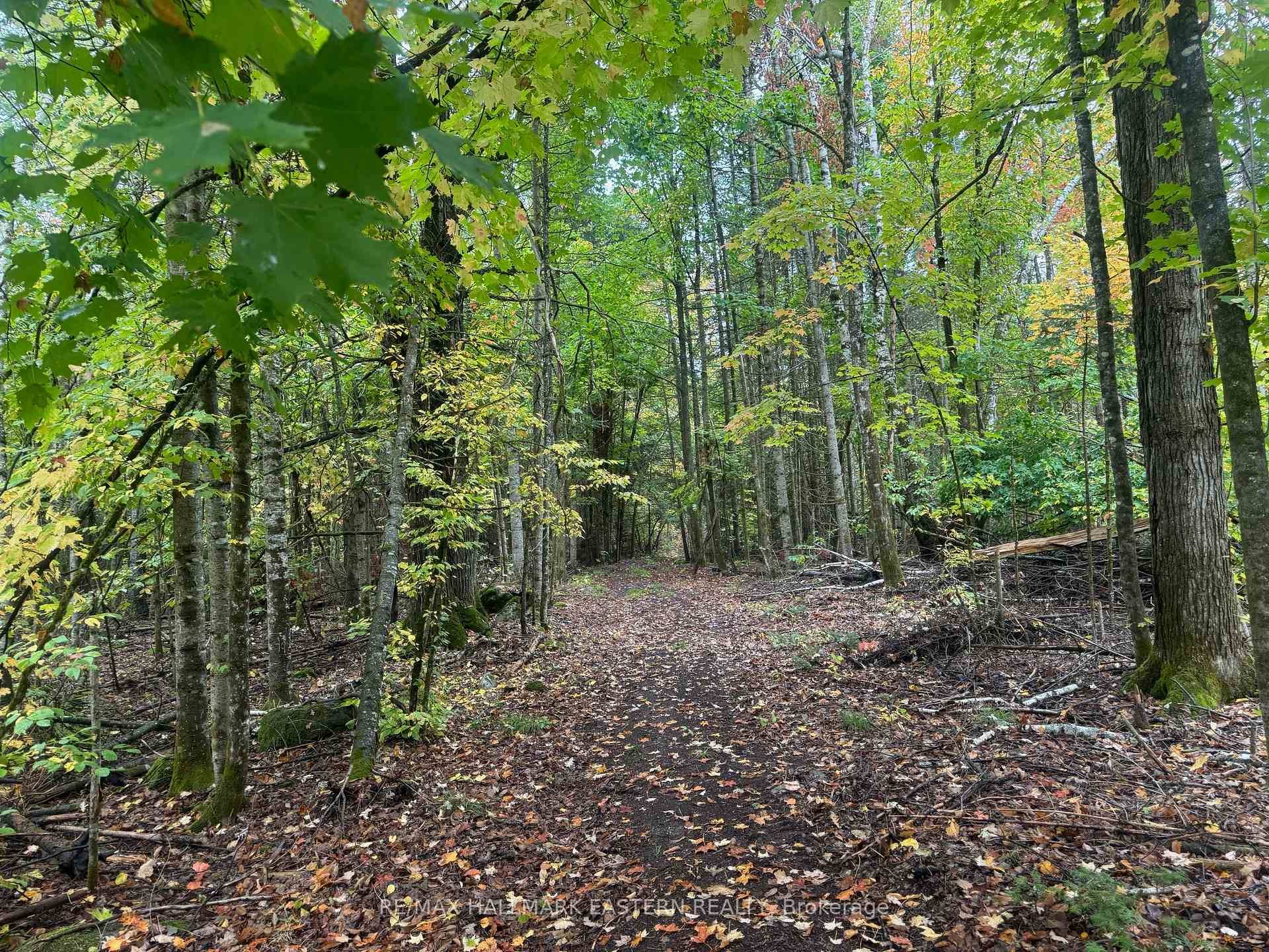 26. 85 acres with almost 1, 300 feet of waterfront on the Indian River headwaters.