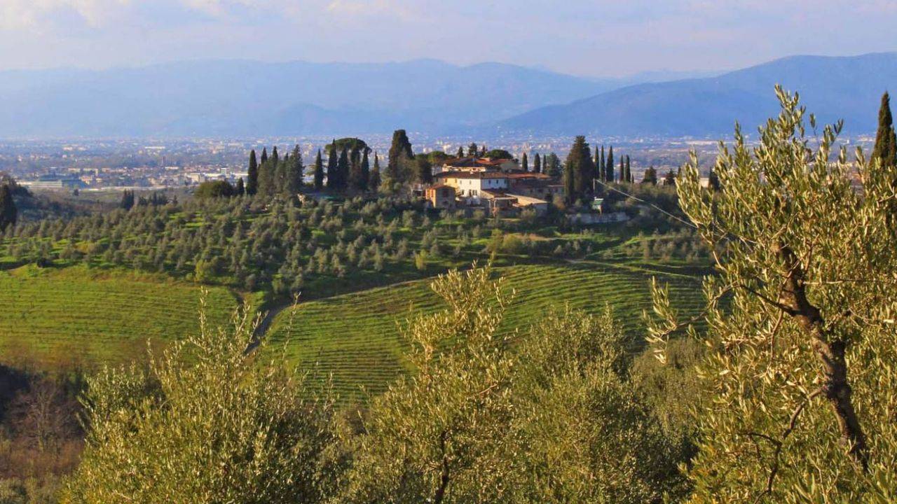 On the hills of Florence, in Tuscany, for sale farm with villa, farmhouse, vineyard and olive grove
