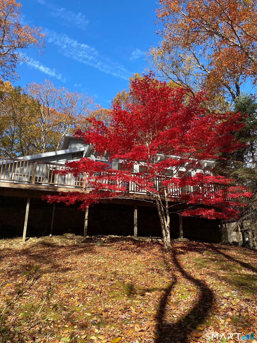 Lovely private Easton wooded setting overlooking Morehouse Brook.