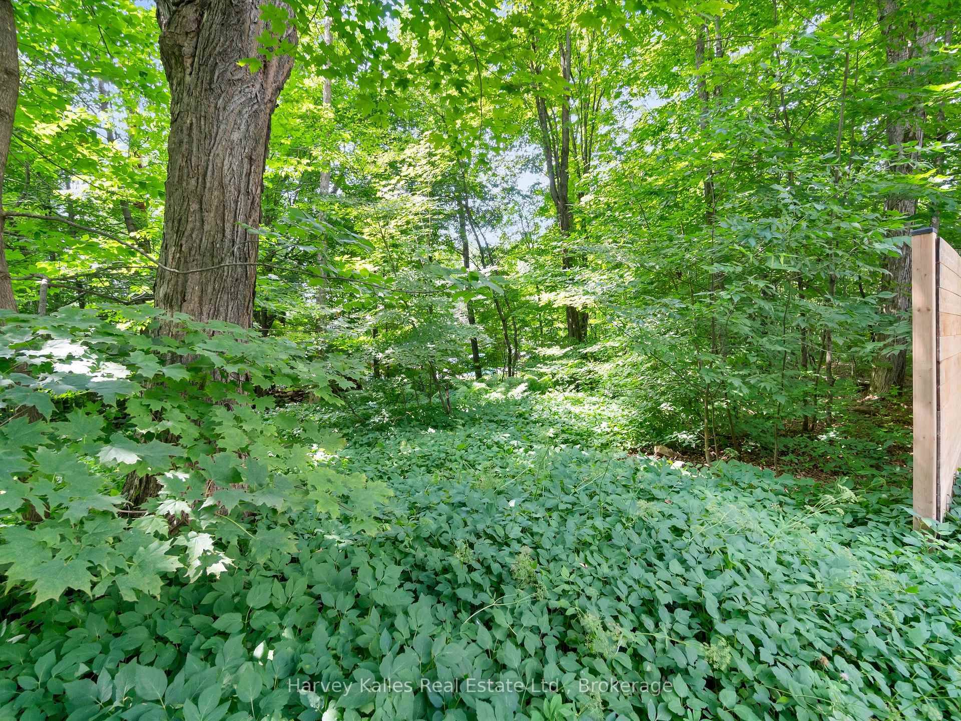 Vacant Lot in the middle of the Rosseau village.