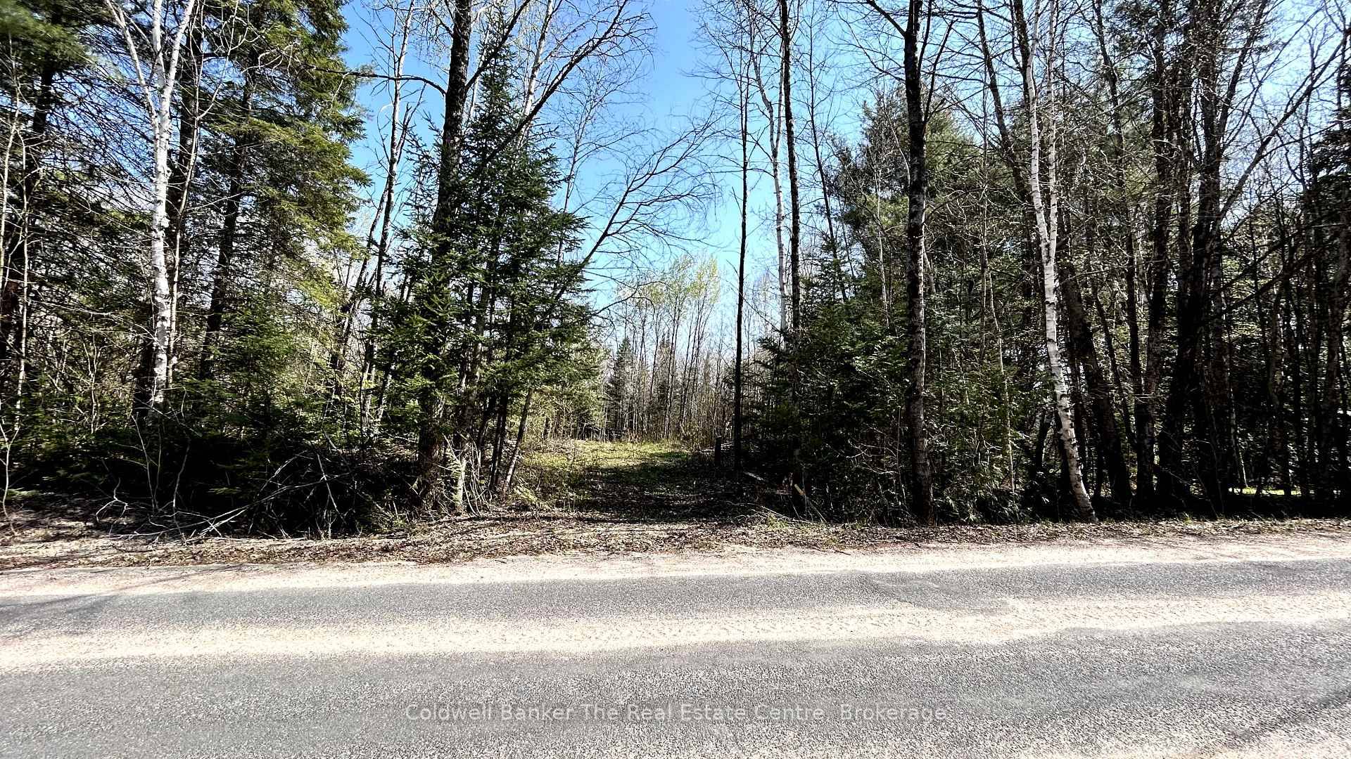 Escape to peace and privacy on this stunning 43 acre parcel, the perfect spot to build your dream retreat in the woods.