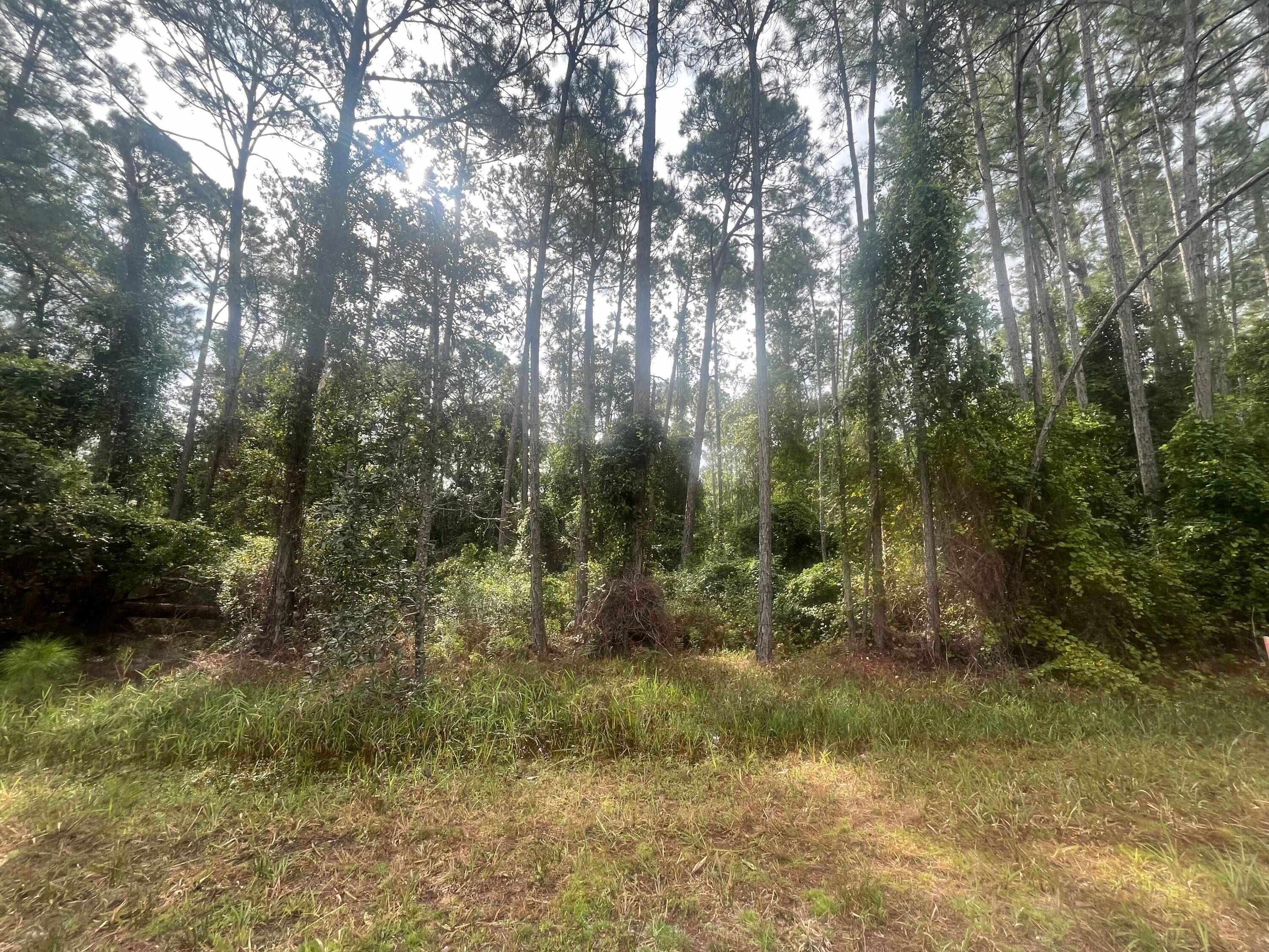 COUNTRY LIVING AT ITS BEST COME CHECK OUT THIS 0.