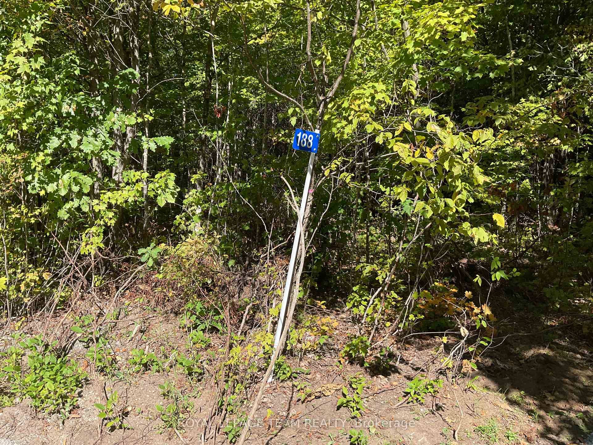 JUST SEVERED ! ! A newly created 10 acre lot.