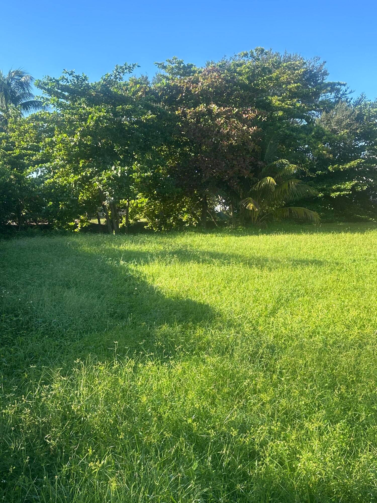 Vacant land ready for someone to come build their dream home backed up to a canal.