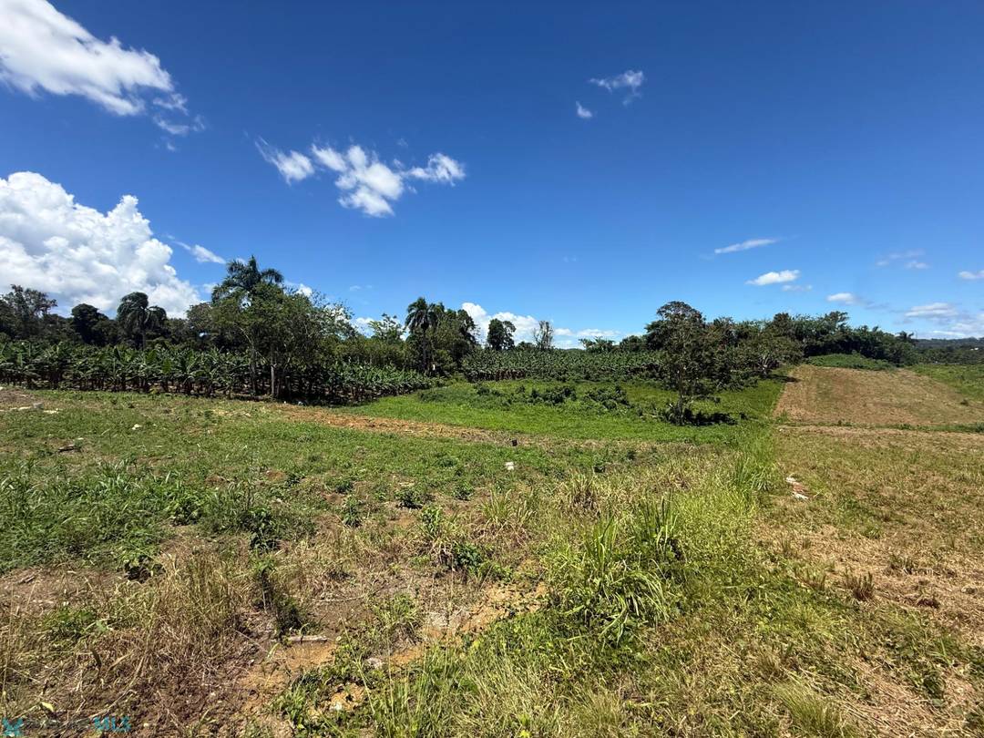 PR 446 KM 4.1 BO. ROBLES SAN SEBASTIAN, FINCA 3.5 CDS (3.4 ACRES), CLASIFICACION Land San-Sebastian
