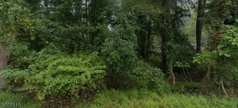 Bring your vision to life on 1.