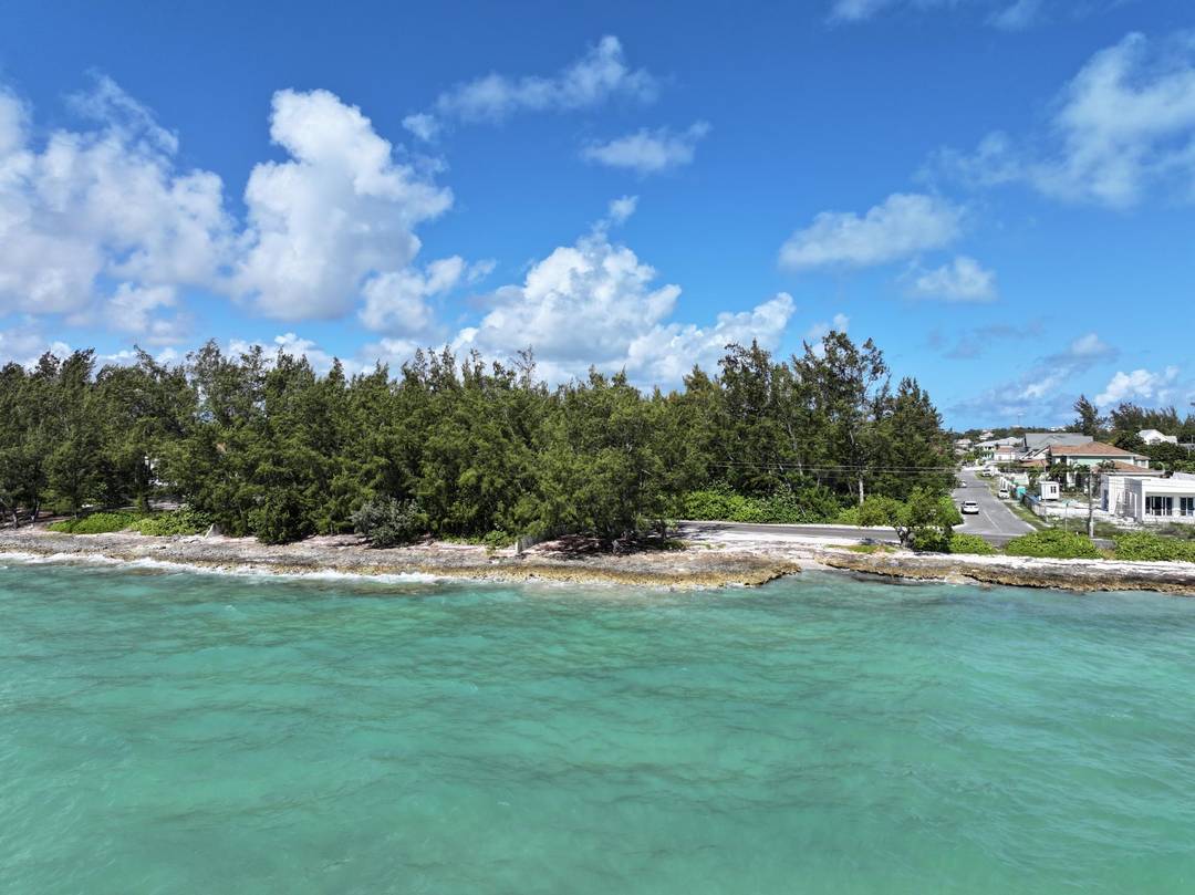 TWYNAM OCEAN FRONT LOTS Land New-Providence