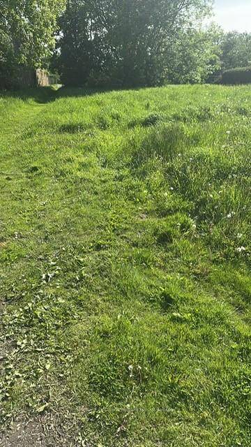 Development Opportunity on a large lot.