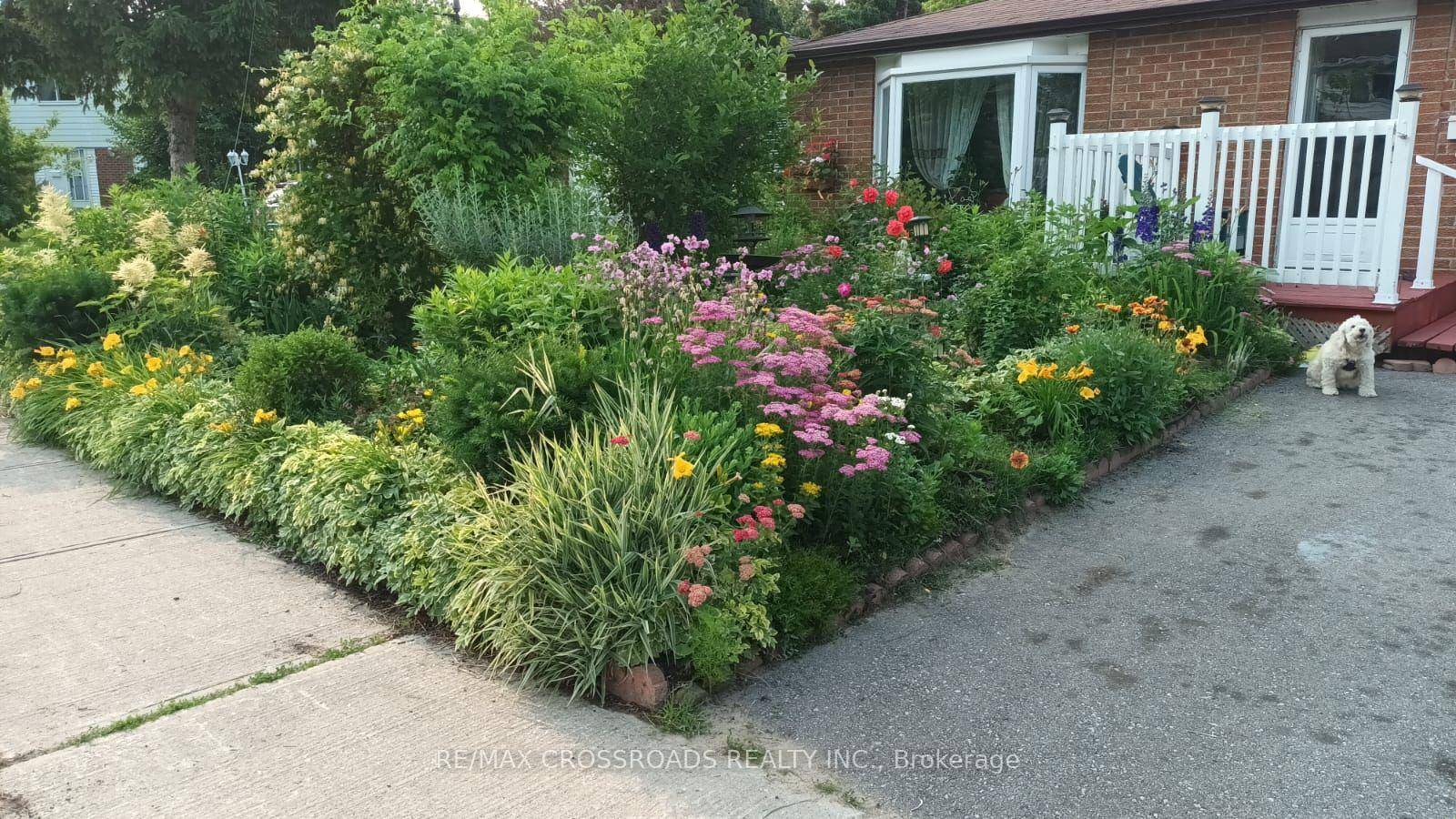 Beautiful Three Bedroom and 1.