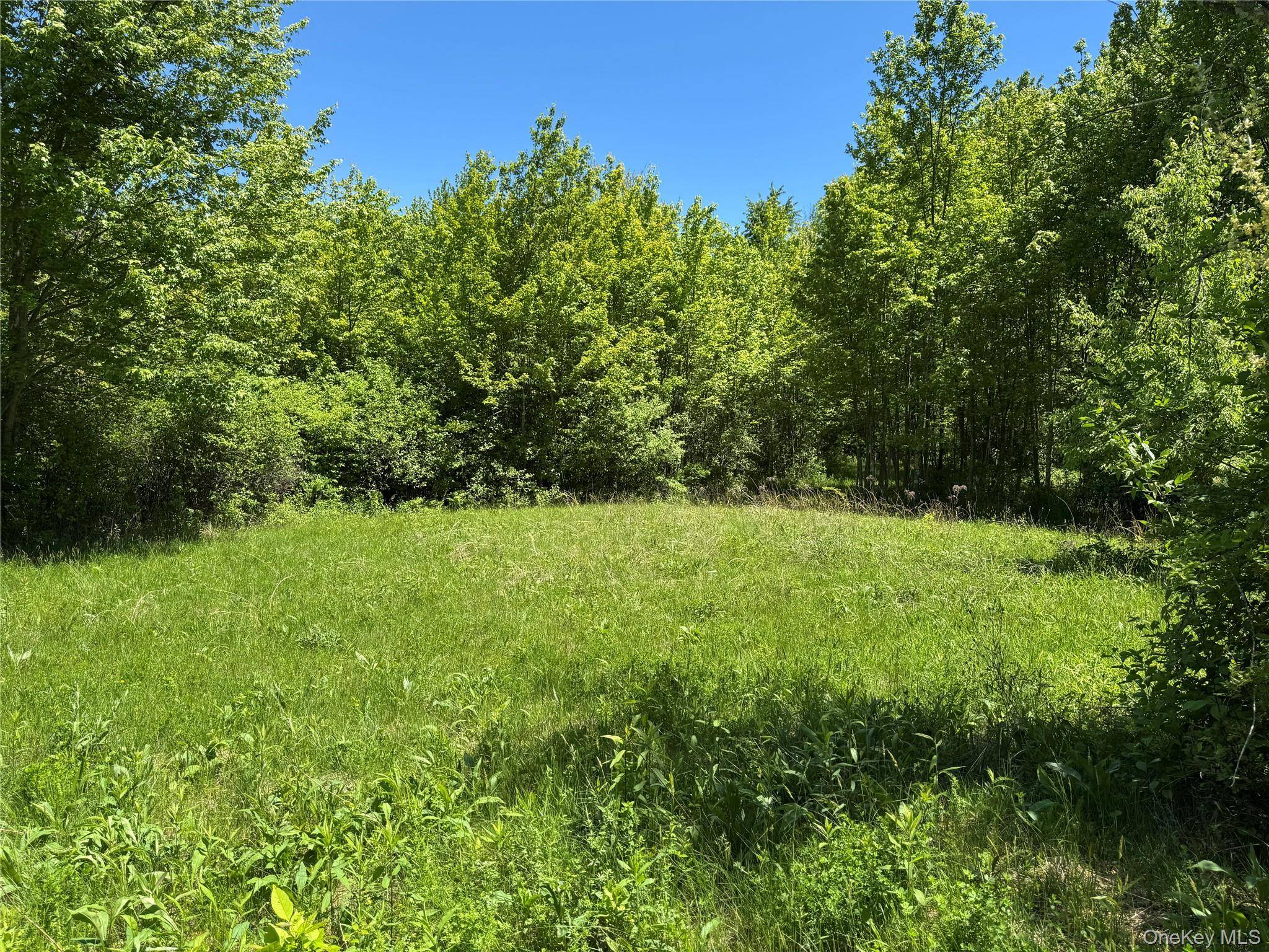 Located just outside the Village of Millbrook on a scenic gravel country road, Old Oaks Woods is a 23.