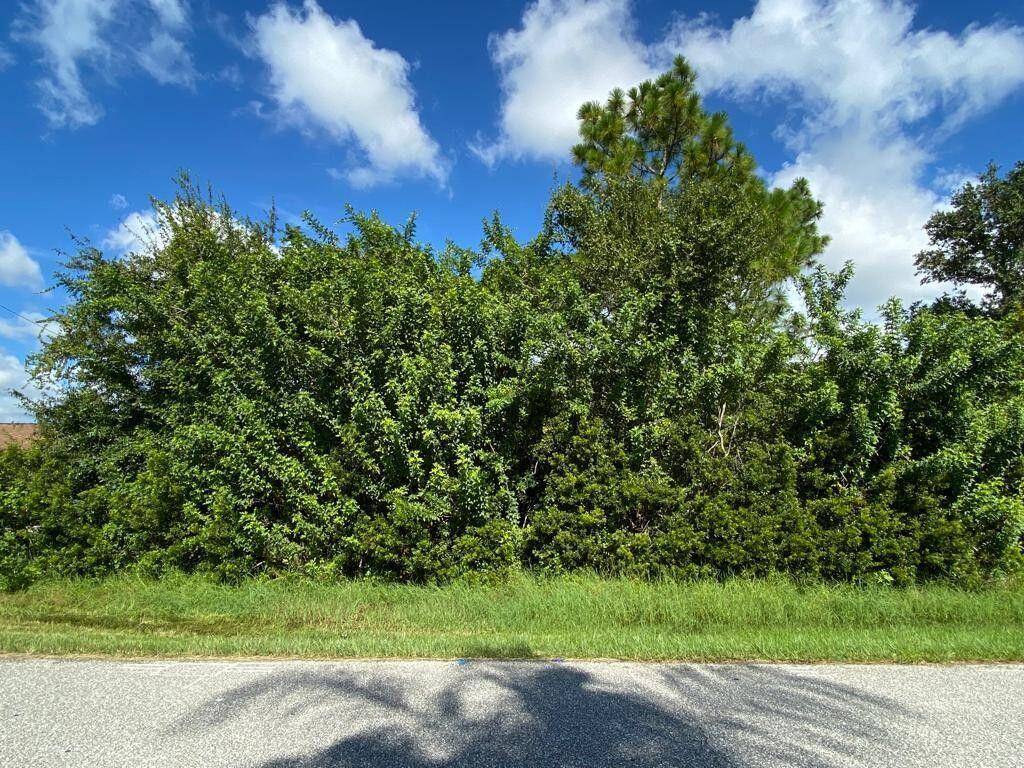 Build your dream home. Buyer is responsible for performing all due diligence including, but not limited to, availability of utilities, scrub jay, wetlands, and tortoise restrictions and lot dimensions.