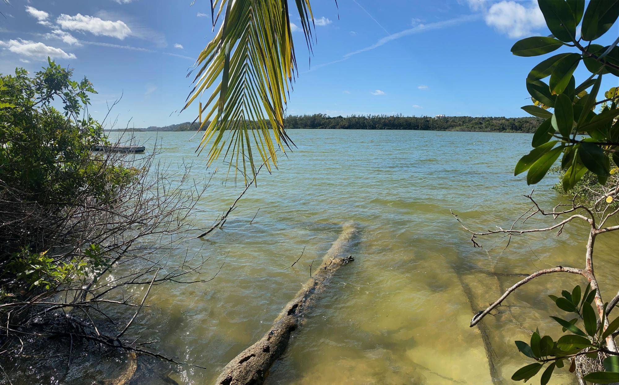 OAKHILL RD Land Cable-Beach Bahamas