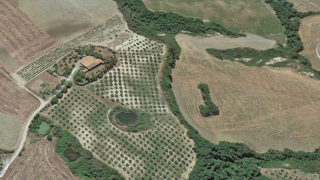 Estate for sale in Pienza area, Tuscany, Siena. Farm estate with 7 bedrooms, vinyard, olive grove, park, lake for irrigation.