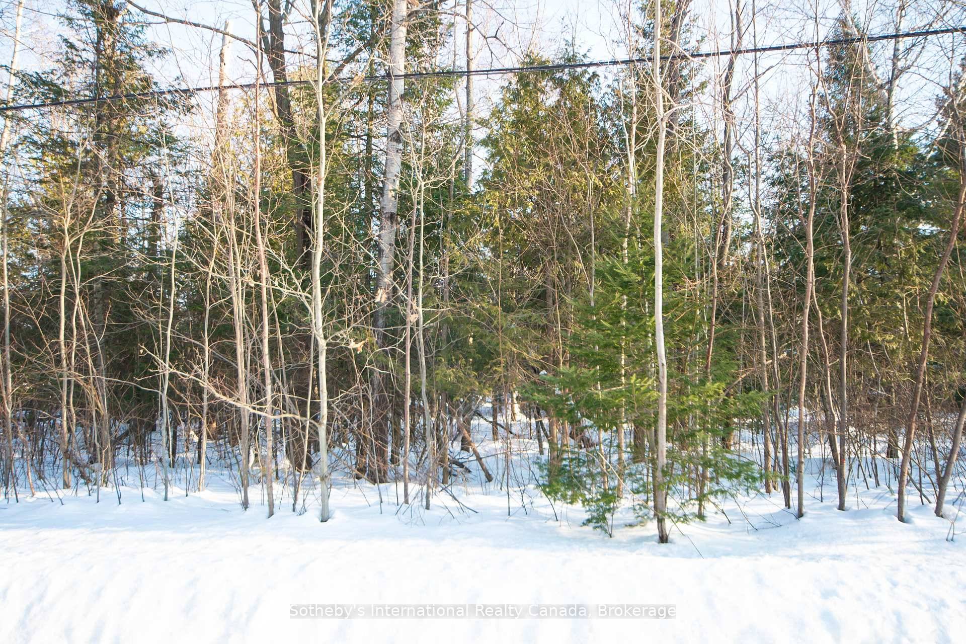Build your dream home or cottage on this 131' x 151' treed vacant lot on Spruce Street in the desirable community of Tiny Township, Ontario.
