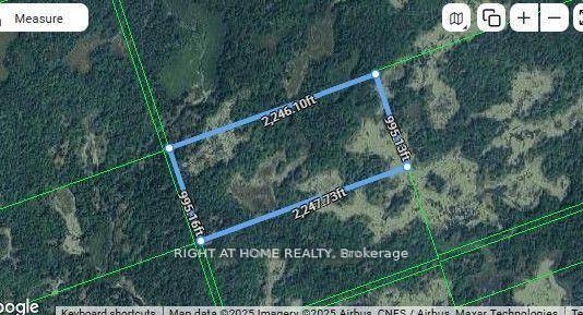 50 Acres of Untouched Wilderness for Adventure Seekers, Hunters, and Nature Enthusiasts !