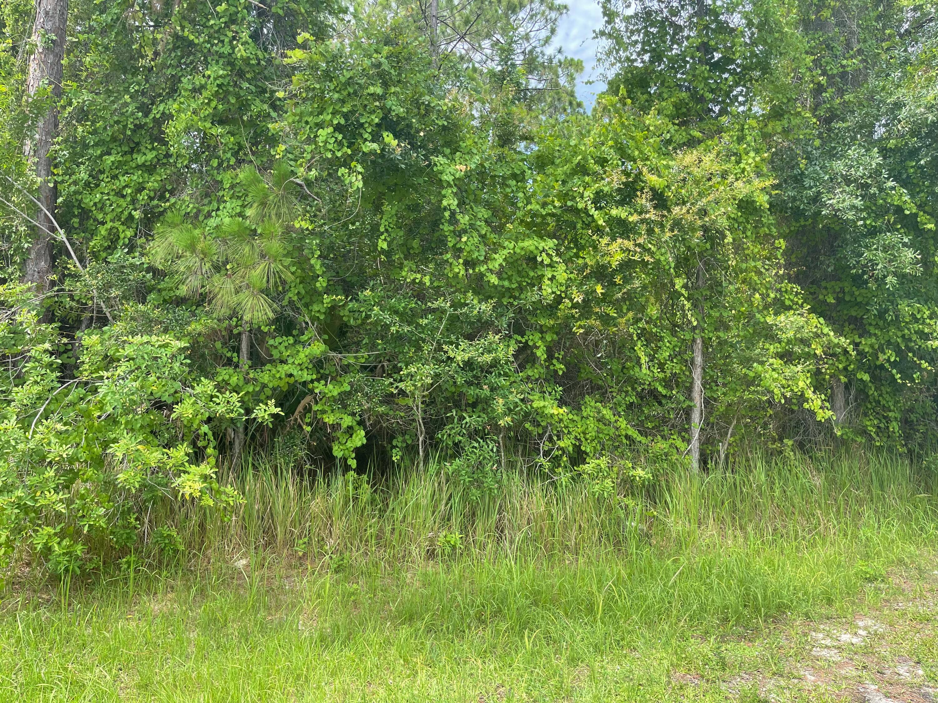 nice piece of property, whater, Electricity is ready for you, school is rihght there at the corner it is not going to lastUnbranded Virtual Tour https www.