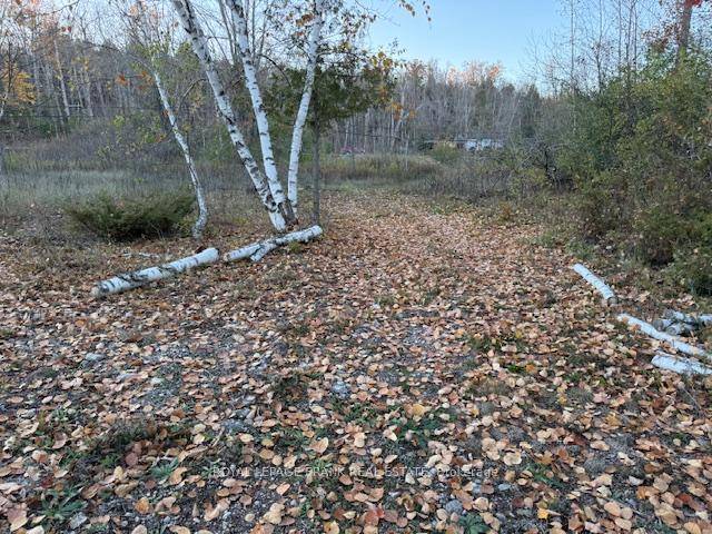 Welcome to your slice of paradise near beautiful Pigeon Lake in the heart of the Trent Lakes.