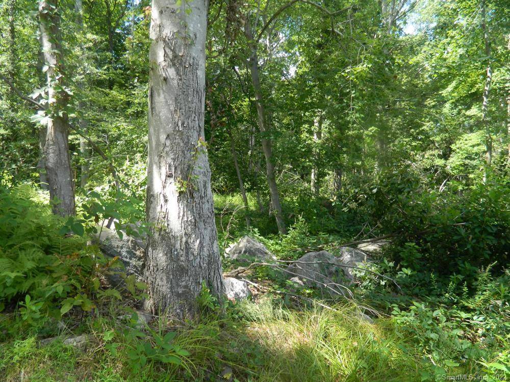 Discover an exceptional opportunity to own 26 pristine acres of land perfectly situated next to a scenic golf course and just minutes from beautiful sandy beaches.