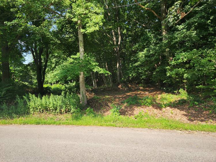 This 9 acre parcel has some crazy potential !