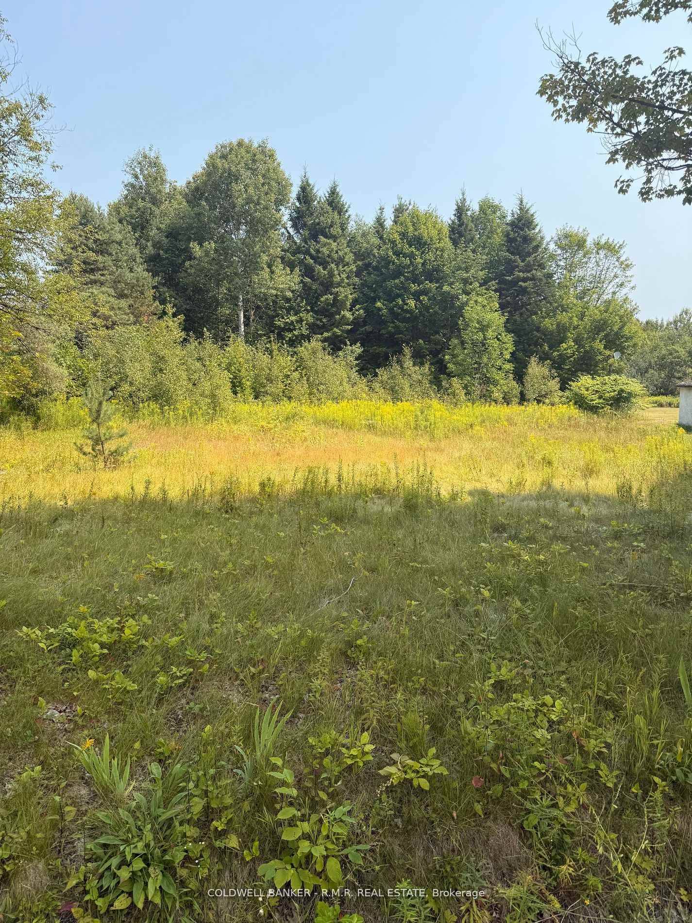 Welcome to your next adventure at 3995 Boulter Rd in Boulter Ontario Bancroft.