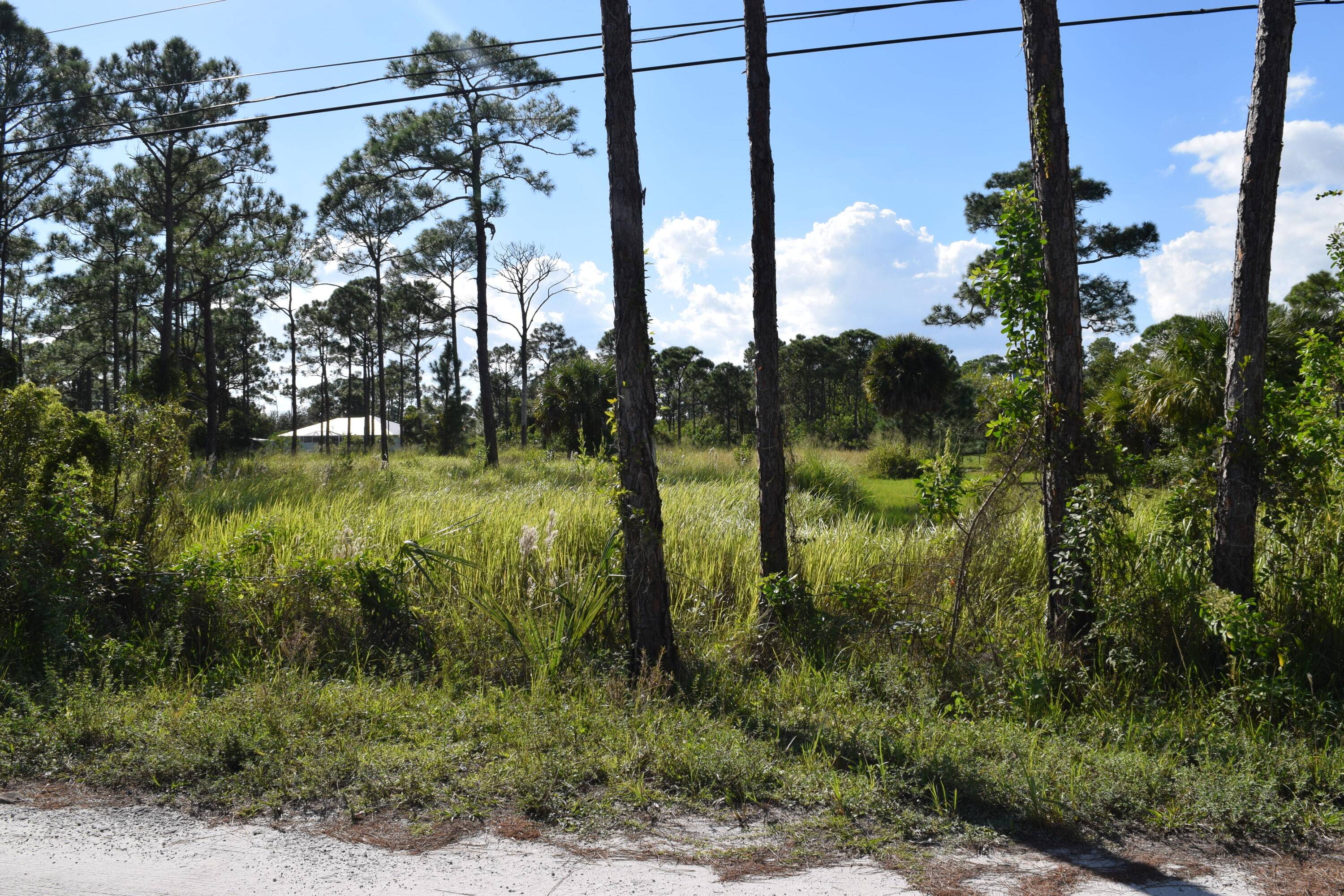 Peaceful Florida countryside living in established acreage community ; a rare find, build your dream home on this beautiful 1.