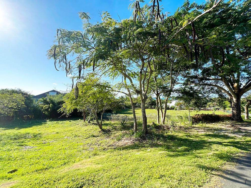 LOTS 5 + 6 BRIGHTON PLACE Land Lyford-Cay New-Providence