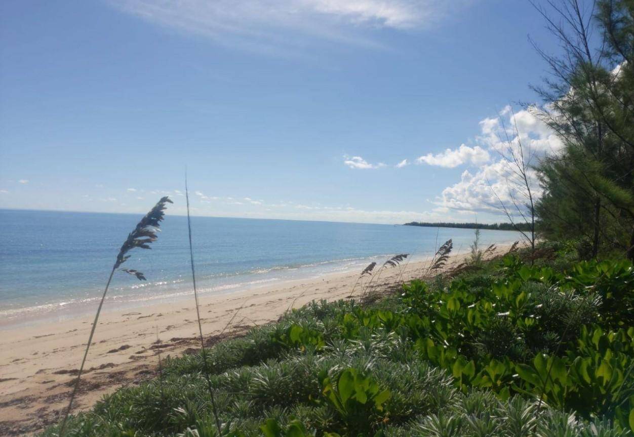 STANIARD CREEK Land Andros