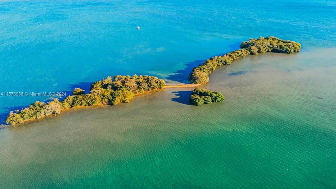 Presenting Bird Key, an uninhabited 4 acre island in Biscayne Bay.