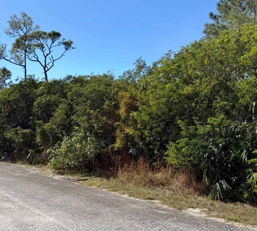 DUNDAS TOWN LOT Land Abaco