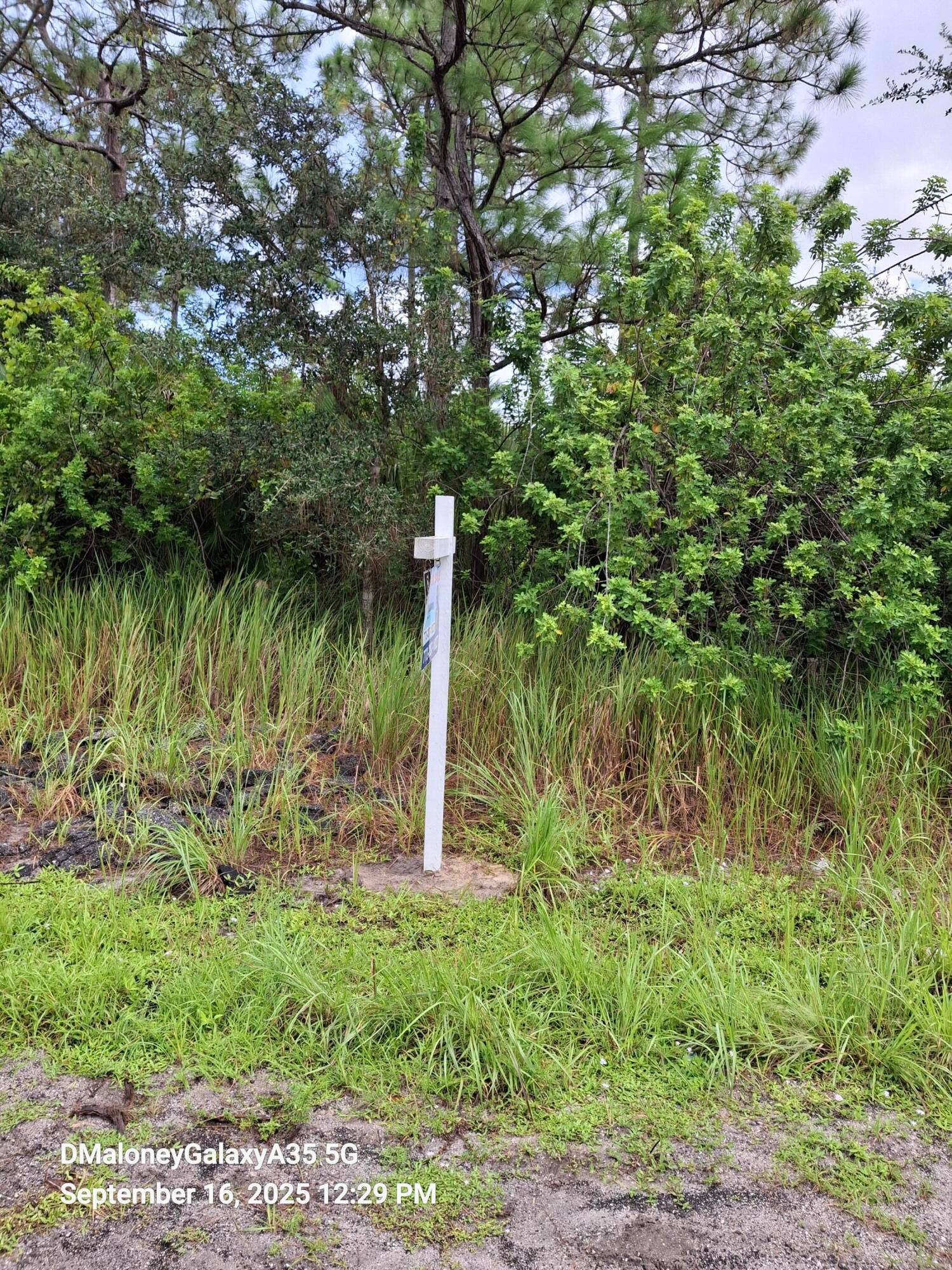 Beautiful vacant lot on a Paved Street in Palm Bay.