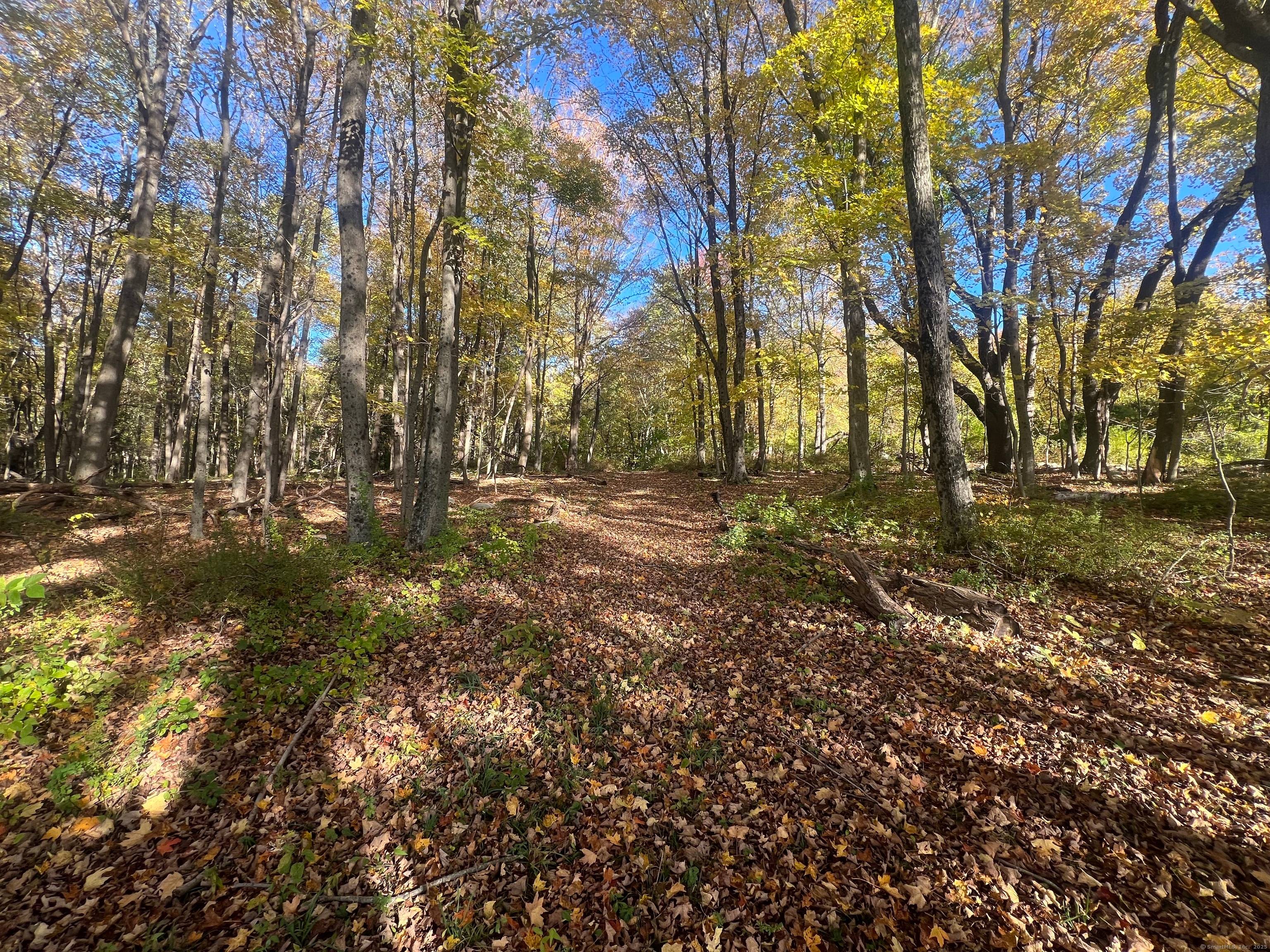 Discover a rare opportunity to own over 40 acres of pristine land in the picturesque Litchfield Hills.