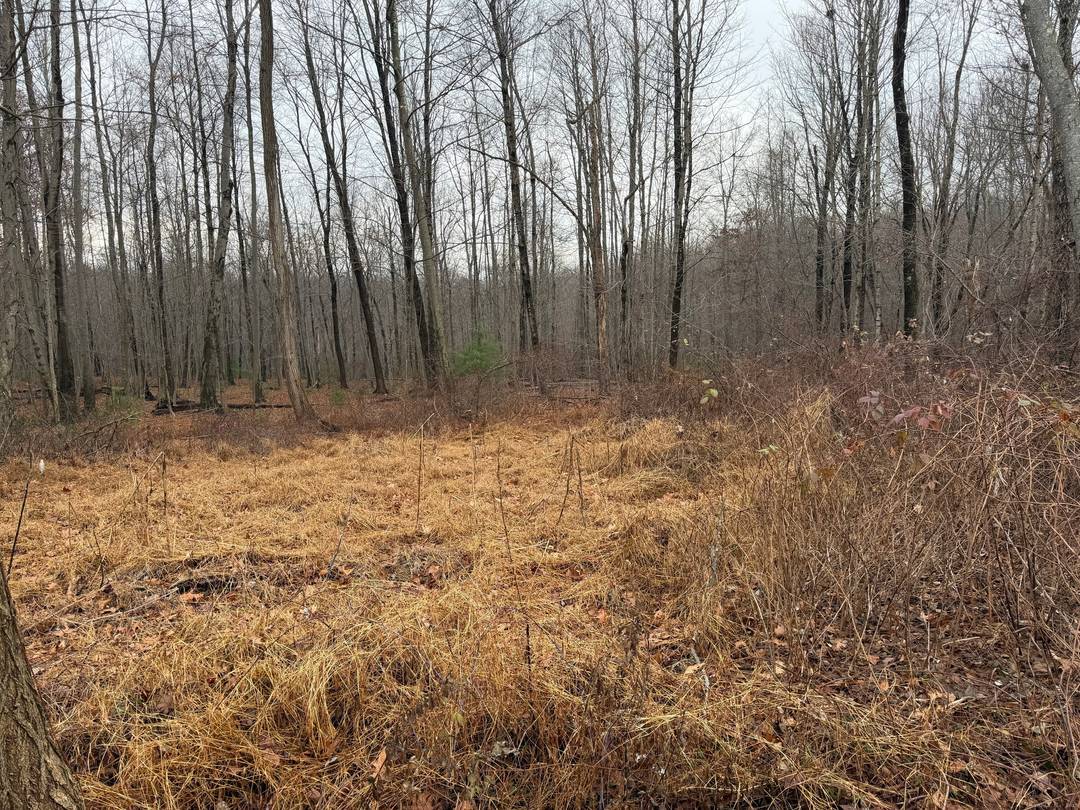 Commercially Zoned Land for Sale Offering nearly 1, 000 feet of road frontage and exposure to traffic counts exceeding 10, 000 cars per day, this 30 acre parcel located just ...