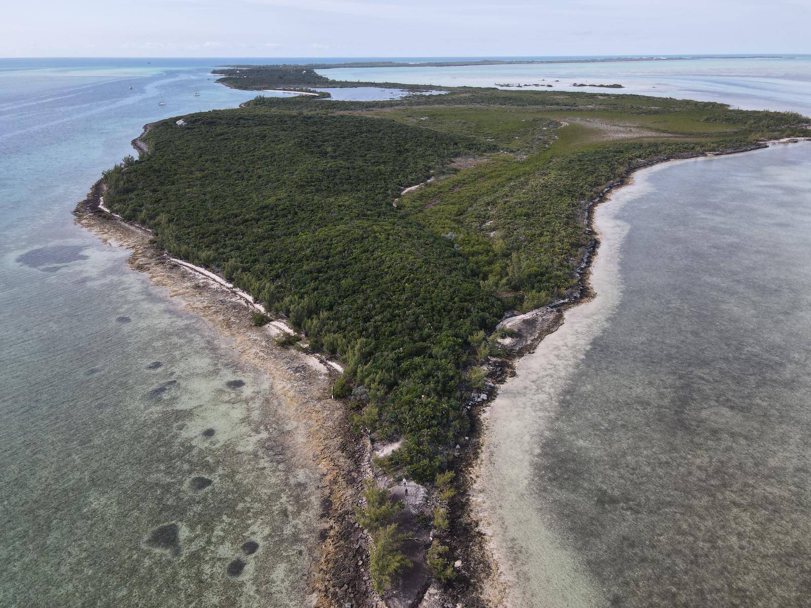 CHUB CAY Land Berry-Islands
