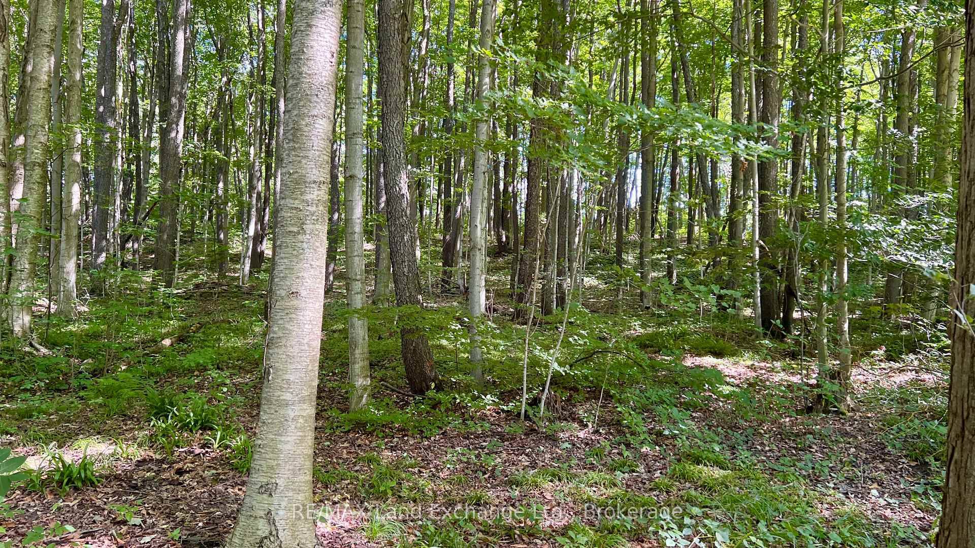 NEW PRICE ! This property offers over half an acre of serene, fully treed land near the picturesque Nine Mile River.
