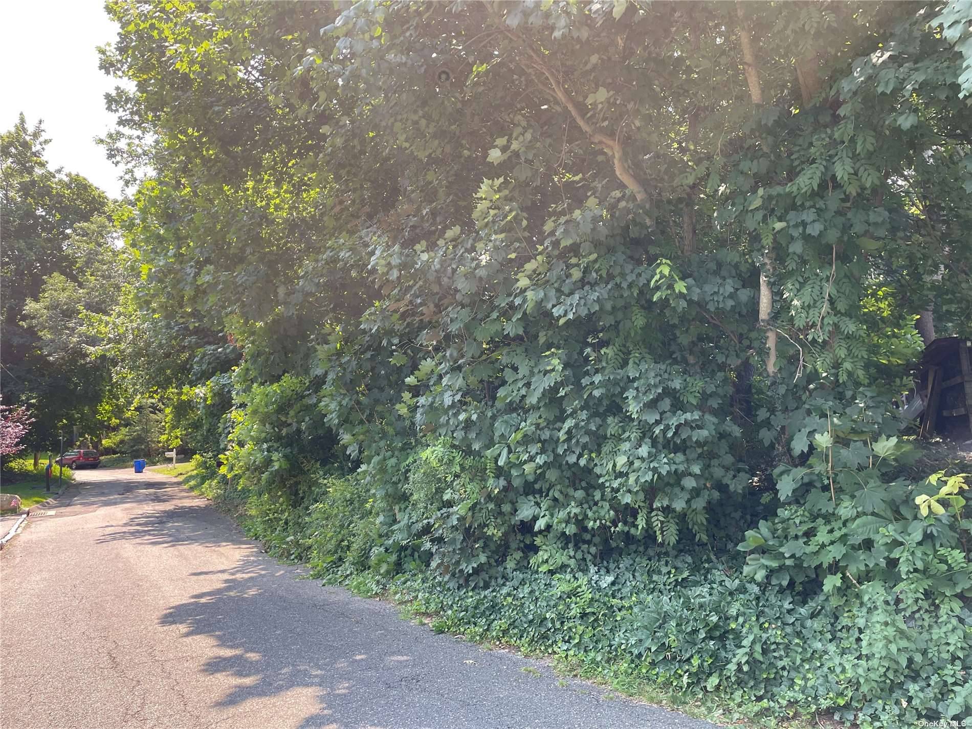 Vacant lot on Nassau rd. Completely wooded lot.