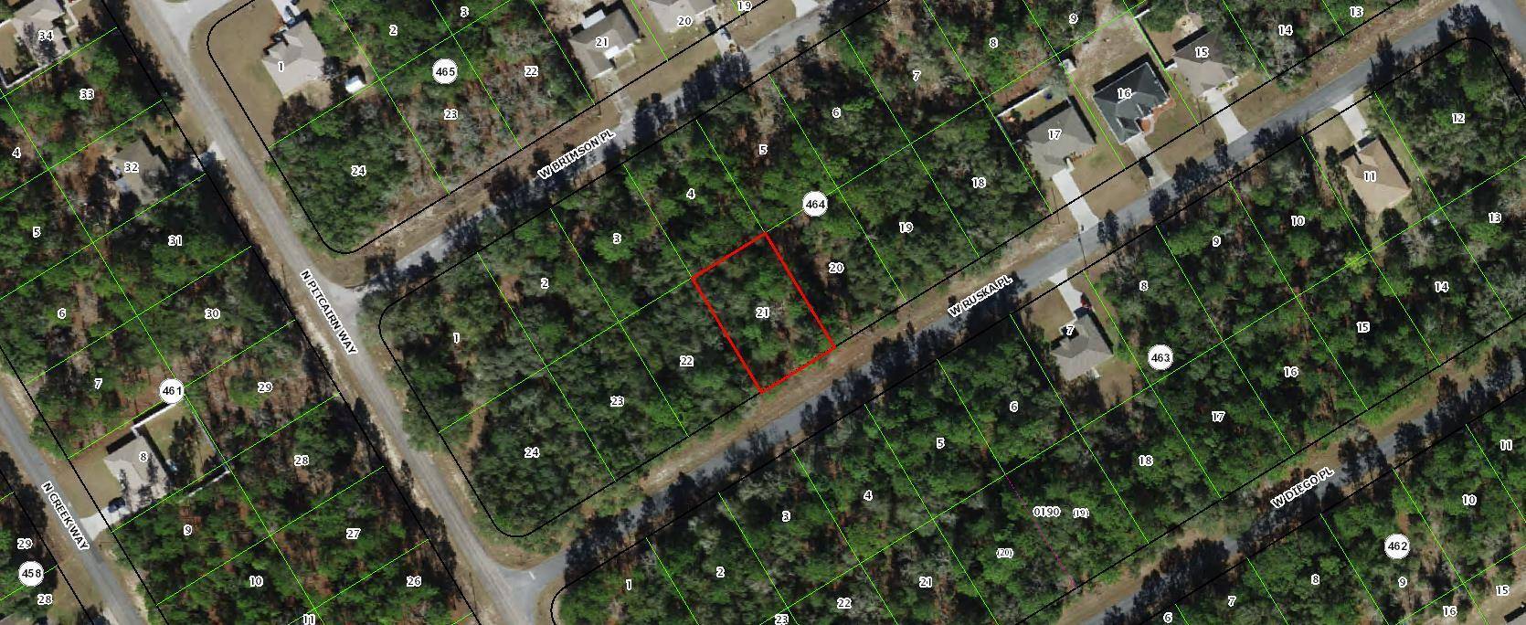 Nice lot in rapidly growing Citrus Springs Florida now available for your new home.