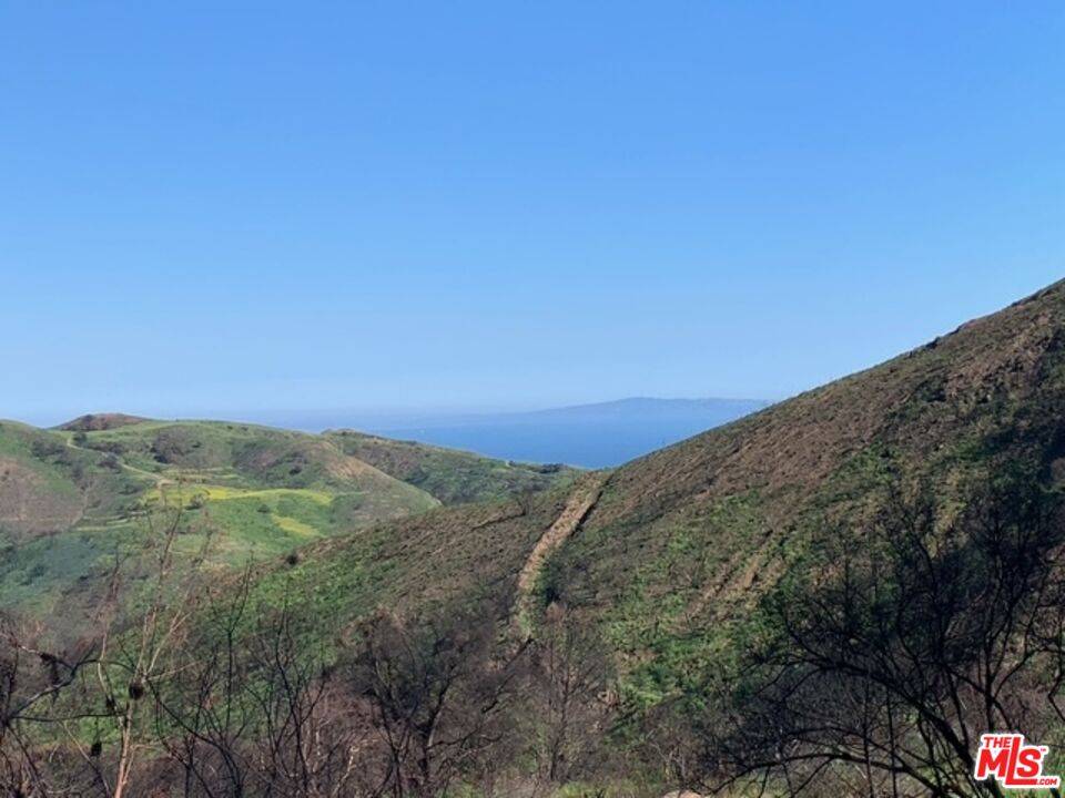 1990   Las Flores Canyon Rd Malibu La