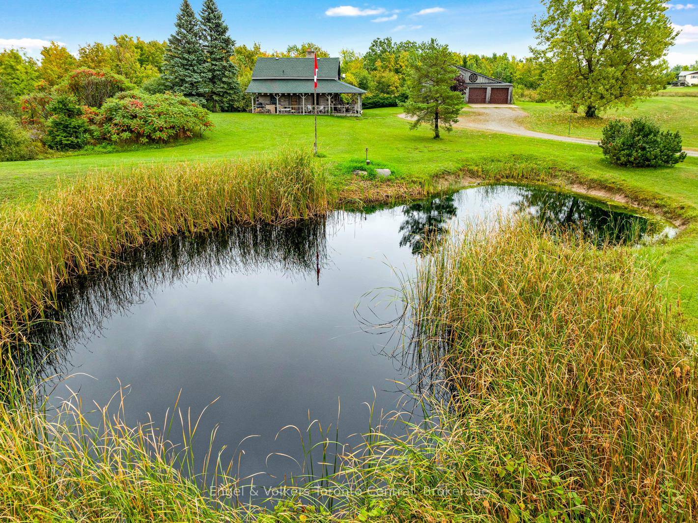Rustic charm meets nature's serenity !