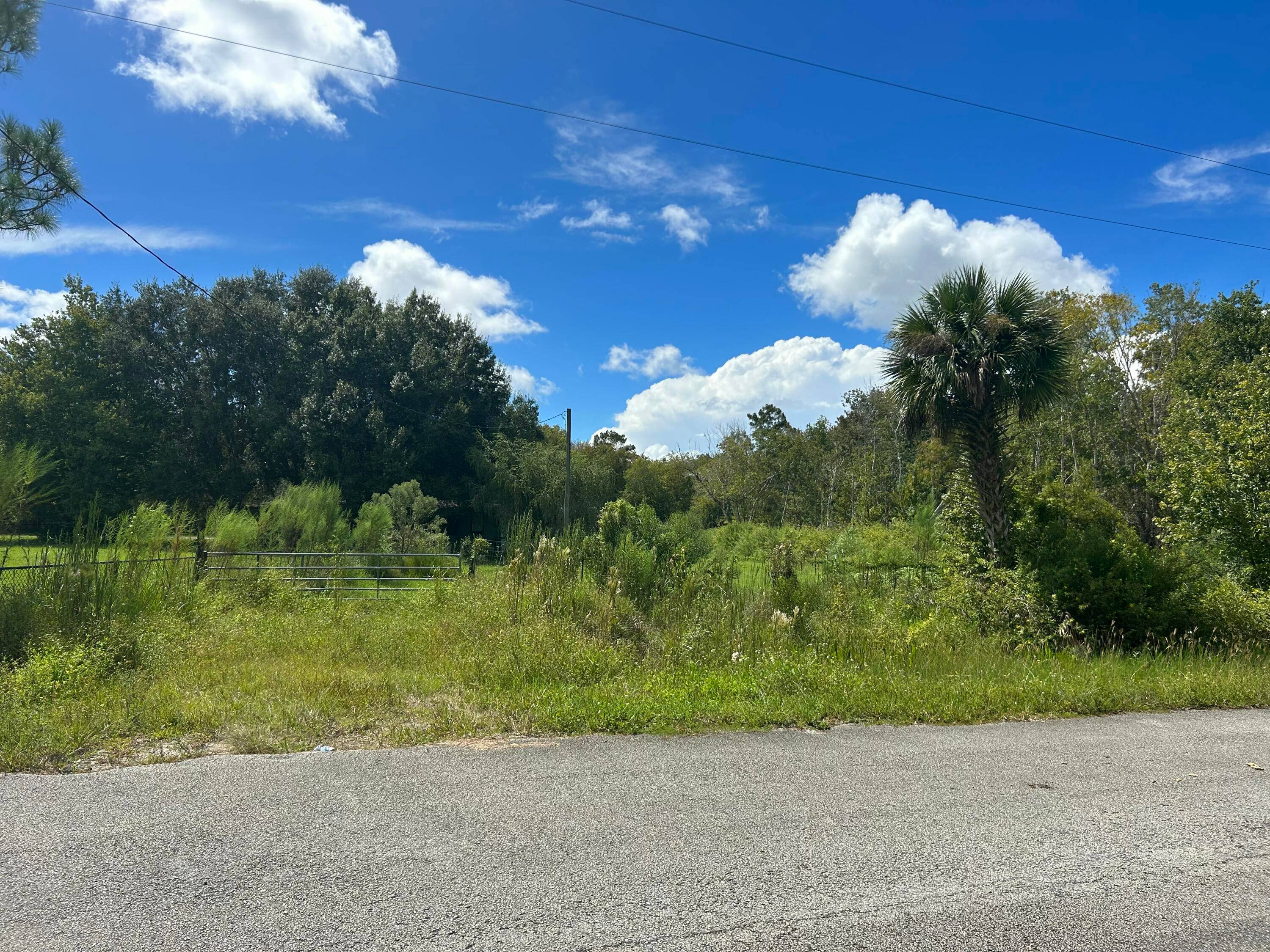 6. 924 Acres Prime Hunting Recreational Land in Okeechobee, FL Excellent for hunting opportunities deer, hogs, and other native wildlife.