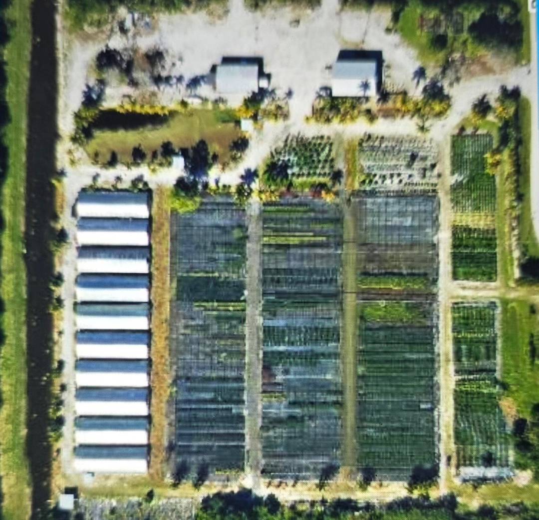 Well maintained, working plant nursery.