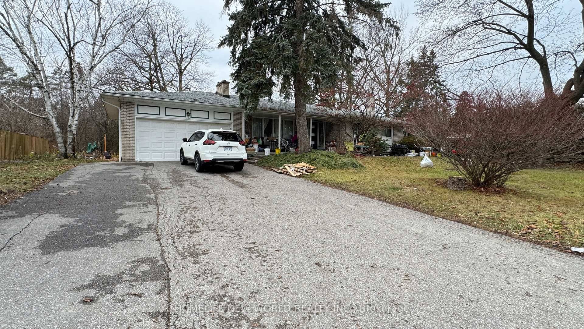 Bright amp ; Spacious Basement Apartment In The Heart of Thornhill, Offering 1 Bedroom Big Apartment Walk Up To Backyard.