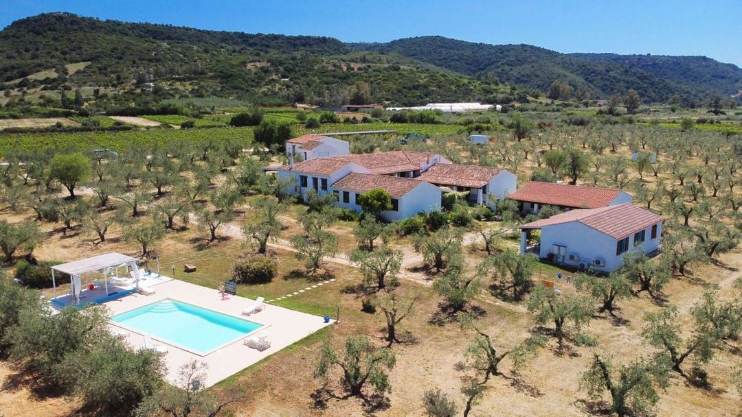 Estate with farmhouse, annexes, swimming pool and 6 ha of vineyard and olive grove for sale in the province of Nuoro, in the Gulf of Orosei, Sardinia.
